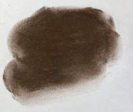 Νο. 168 - ξηρό παστέλ l'ecu Sennelier Hot brown